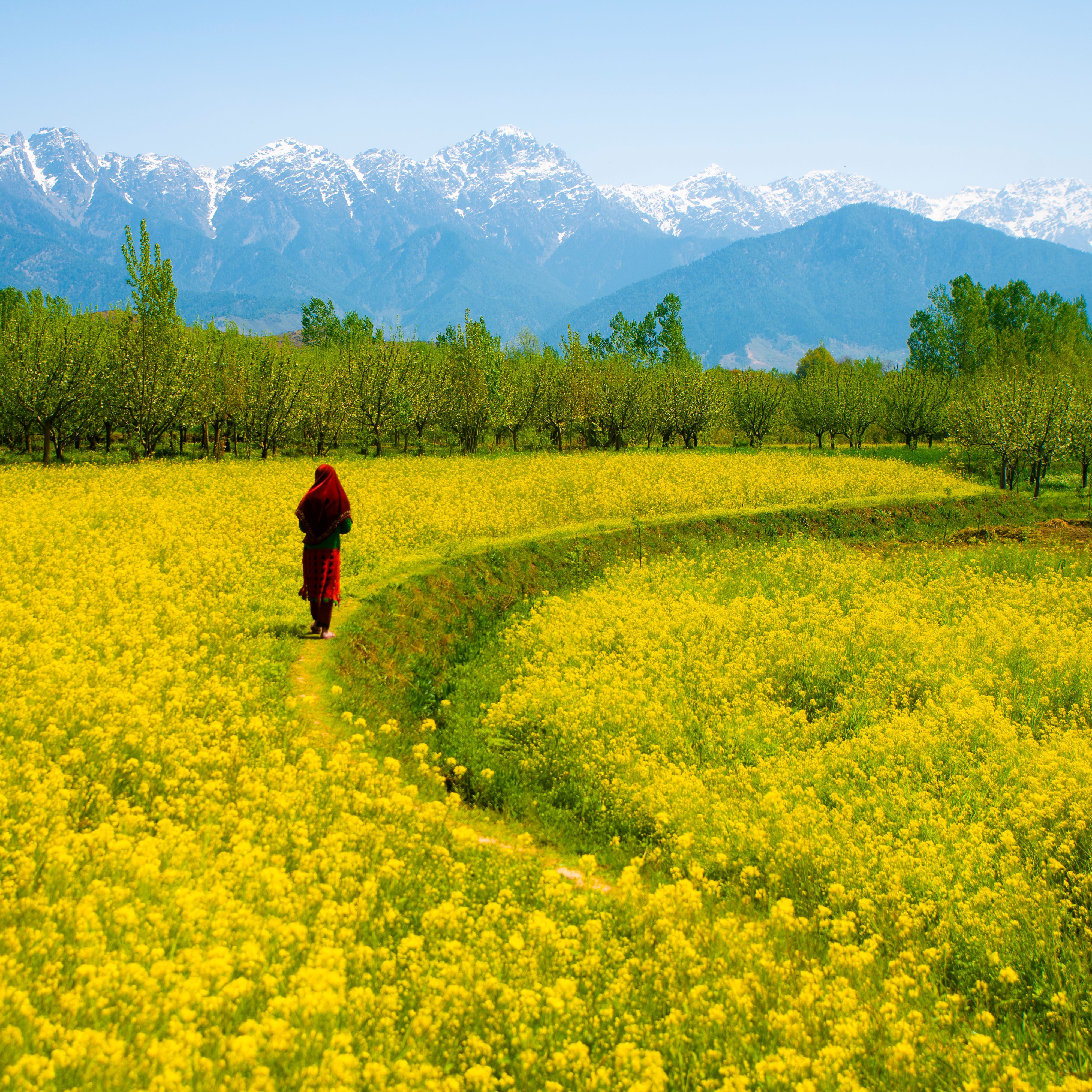 Joyful Kashmir Tour Package