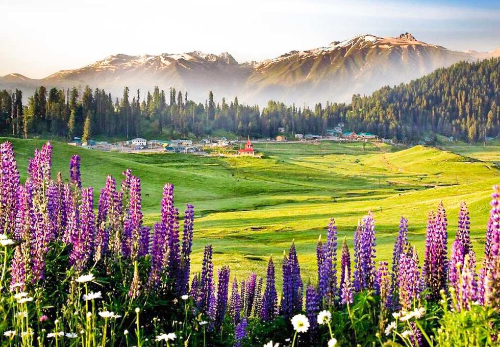 Royal Kashmir Tour Package